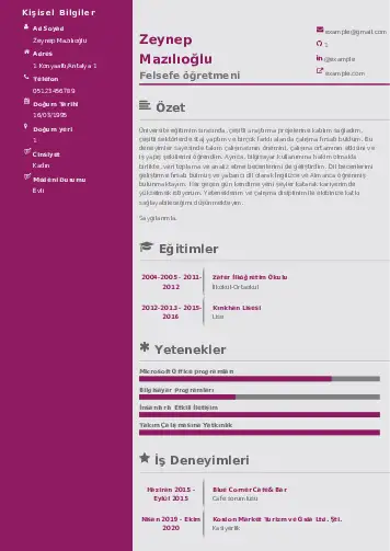 Felsefe Öğretmeni CV Örnekleri cv indir